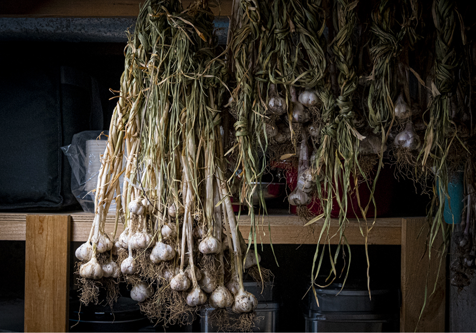 About Growing Church Hero