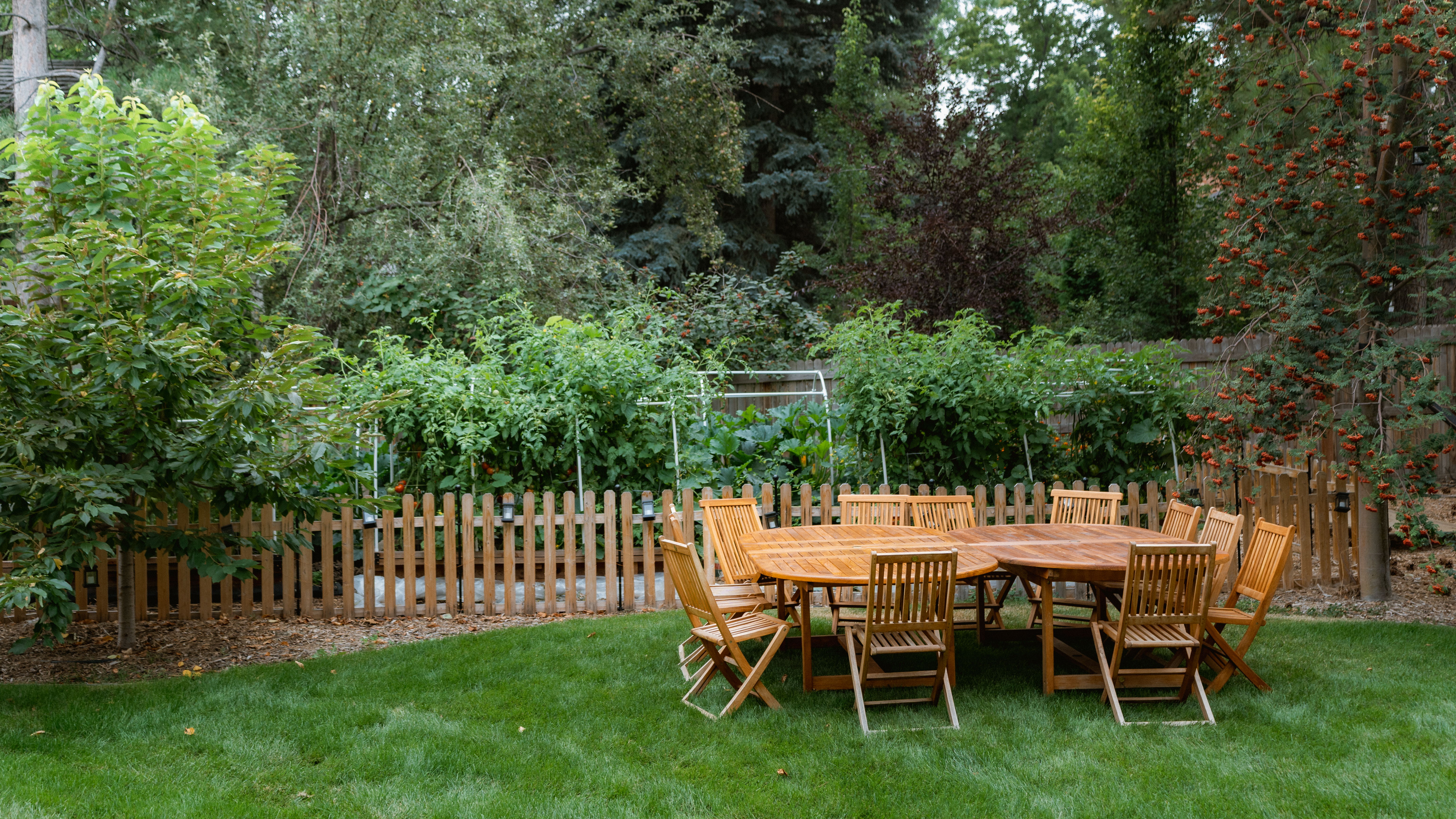 Sunday Funday - Outdoor dining gathering